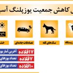 یوز ایرانی همچنان بر پرتگاه انقراض