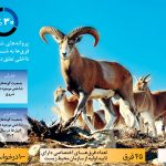 قرق‌های اختصاصی؛ راهکاری موفق برای حفاظت از حیات‌وحش