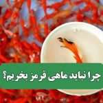 چرا نباید ماهی قرمز بخریم؟