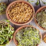 لاغری و انرژی با این جوانه شگفت انگیز
