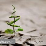 نقش حیاتی تاب‌آوری روانی در روزهای بحران و نگرانی