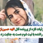 جزئیات تازه از پرونده قتل الهه حسین‌نژاد/راننده با نیت شوم دست به جنایت زد