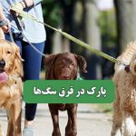 پارک در قرق سگ‌ها