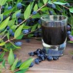 خواص گیاه مورد از نظر طب سنتی؛ آنچه که کمتر شنیده اید/ میزان و روش مصرف مورد