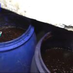 سوسک در یک شیرینی در شیراز + فیلم