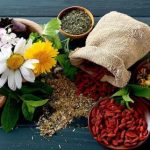 نقشه راه ایران برای فتح بازارهای جهانی با گیاهان دارویی