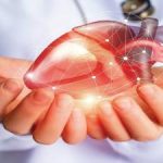 چربی خون و سلامت قلب: آنچه باید قبل از فاجعه بدانید
