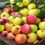 با خوردن سیب، کلسترول و قند خون خود را کنترل کنید