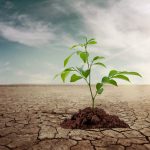افزایش توان تولید آب در تربت‌حیدریه و نیشابور