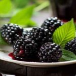مهم‌ترین فواید توت سیاه برای زنان که از آن بی خبرید