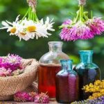 بررسی تأثیر گیاهان دارویی در تقویت حافظه