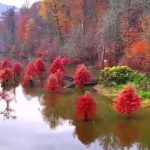 فیلم حیرت انگیز از دریاچه الندان ساری با قدمت ۲٫۵ میلیون سال