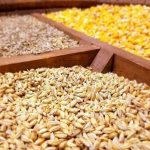 رسوب ۴۵ هزار تن نهاده دامی در بنادر شمالی