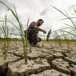 آقایان! بحران آب تقصیر بی‌حجاب‌هاست یا سدسازان؟