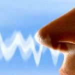 تاثیر جالب و باورنکردنی مدل بینی بر رفتار انسان