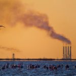 هشدار: هوای ۱۳ شهر خوزستان در وضعیت ناسالم؛ تنفس در جنوب ایران به چالش کشیده شد!