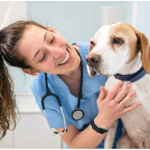 پاروویروس سگ(Canine Parvovirus)؛ دشمن خاموش توله‌ها