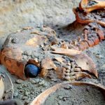 چشم مصنوعی شهر سوخته در امنیت کامل نگهداری می‌شود/ انتقال اثر به تهران منتفی است