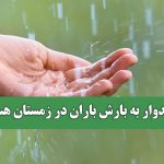 امیدوار به بارش باران در زمستان هستیم
