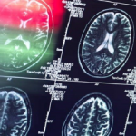 تأثیر عوامل روزانه بر شکل‌گیری عادت مغزی کشف شد