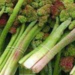 با این خوراکی ترش کبد خود را نجات دهید