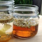 گیاه درمانی: گیاه بابونه چیست ؛ آیا به کاهش استرس کمک می‌کند؟